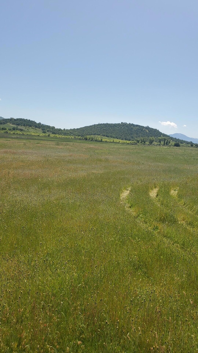 1816 E Vilas Rd, Medford, OR 97502 - photo 6