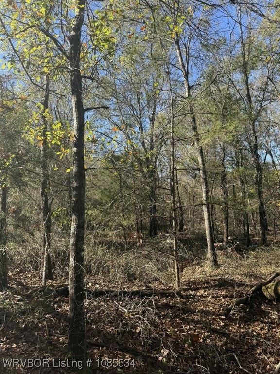 Tract 1 2nd St, Fort Coffee, OK 74959 - photo 4