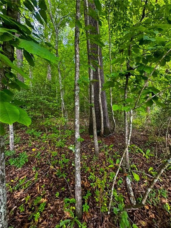 0 Camp Wahsega Rd unit 7600956, Dahlonega, GA 30533 - photo 4