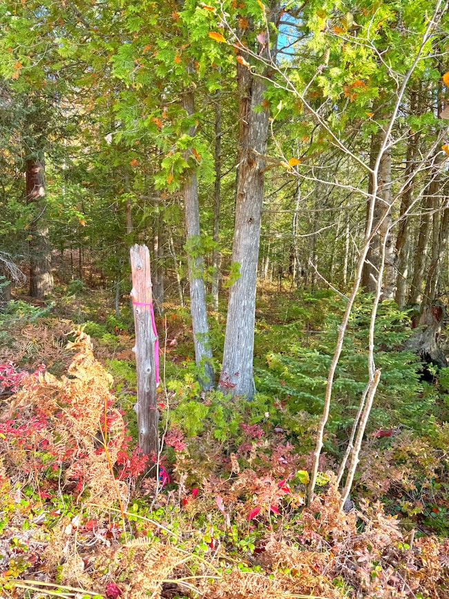 14859 N Whitefish Point Rd, Paradise, MI 49768 - photo 6