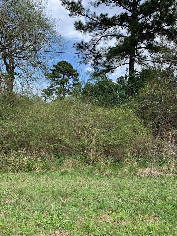 431 Melton St, Magnolia, TX 77354 - photo 5