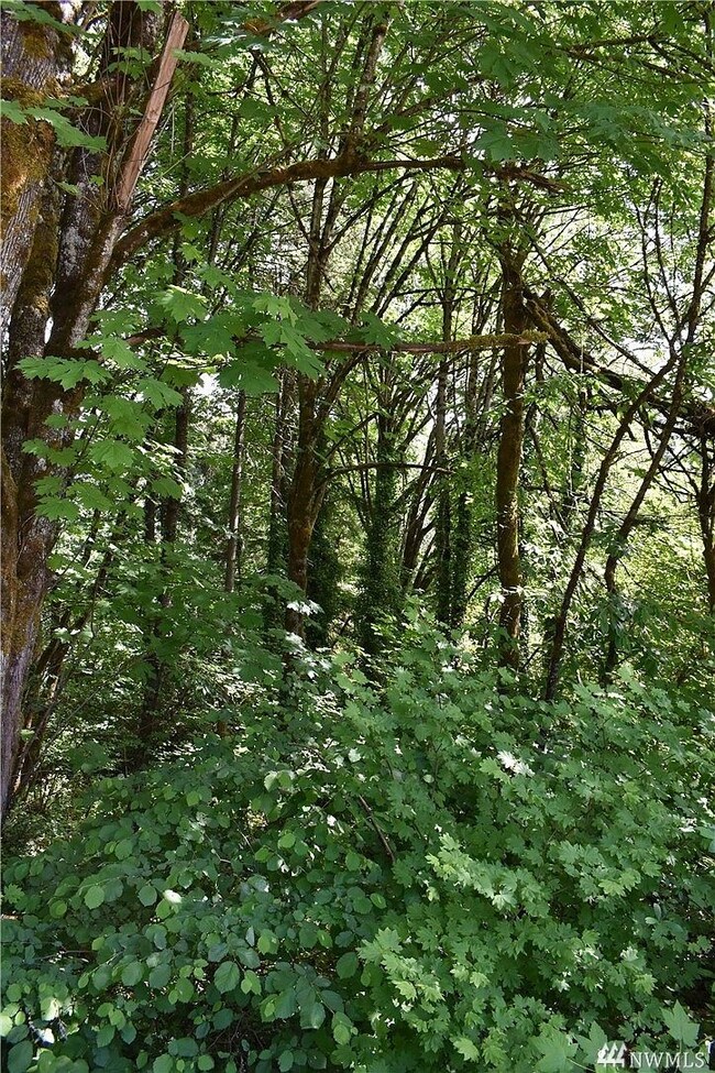 2201 Wheeler Ave SE, Olympia, WA 98501 - photo 6