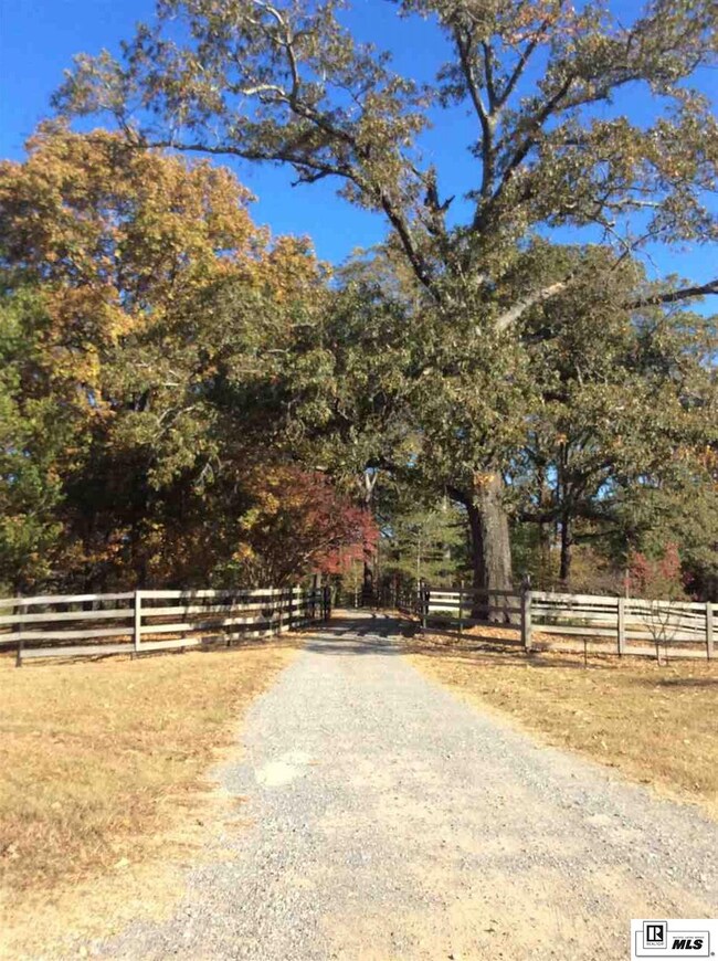 0 Hodge Watson Rd, B, LA 71225 - photo 3