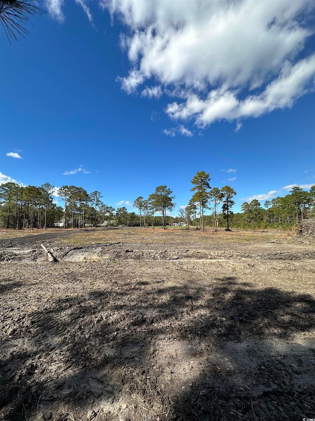 View of nature with rural landscape