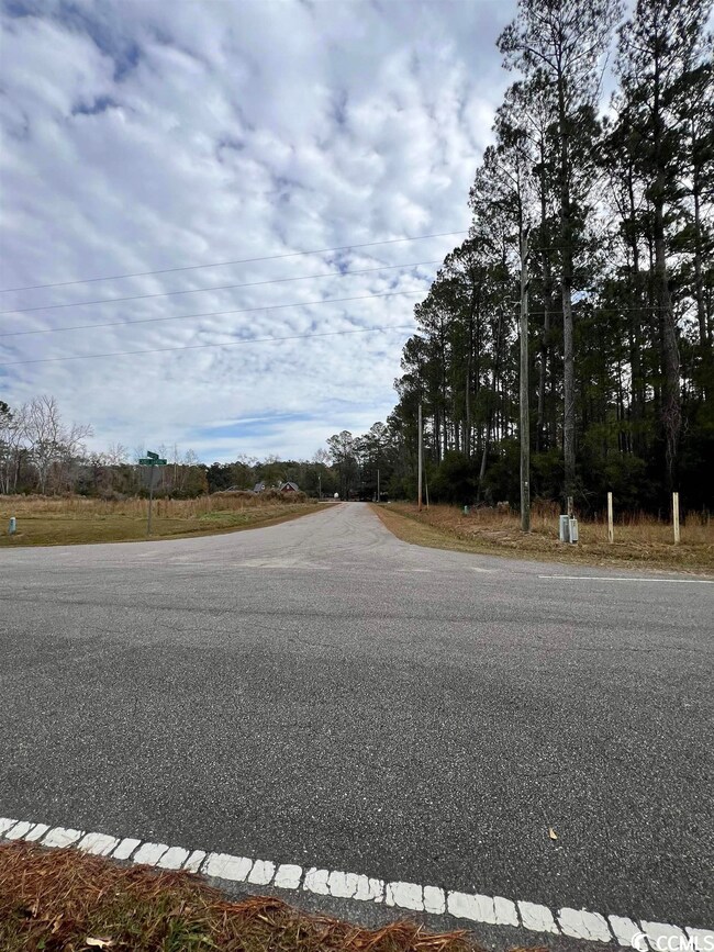 Lot 19 Alligator Ct, Conway, SC 29526 - photo 5