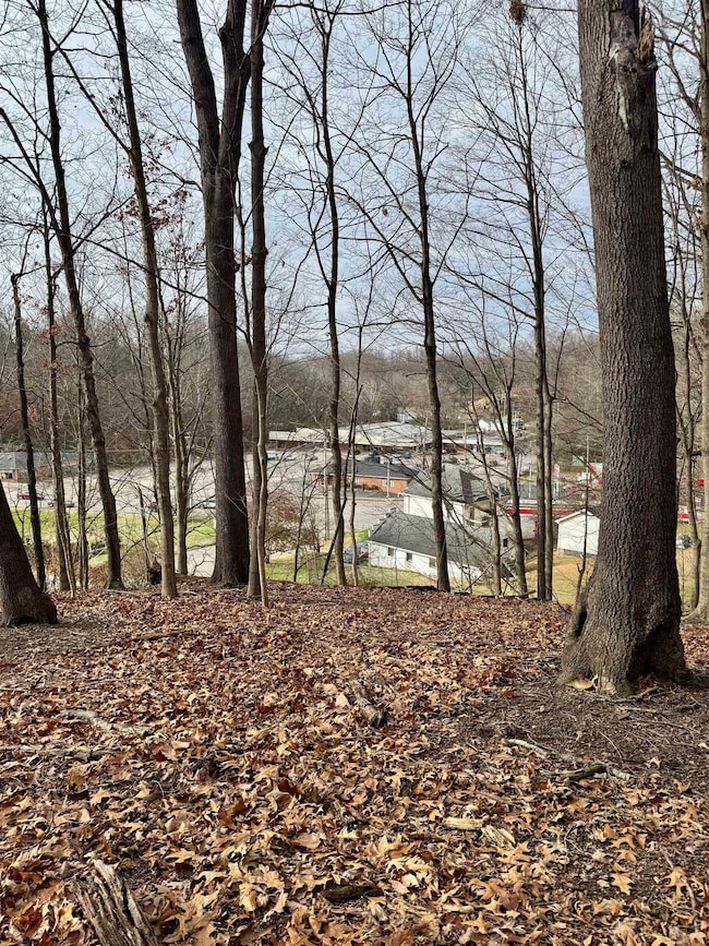 000 Chestnut Hill Dr, Ashland, KY 41101 - photo 5