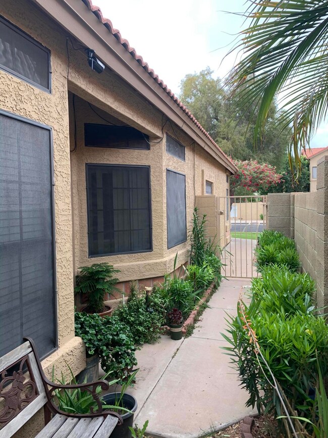 877 N Kenneth Place, Chandler, AZ 85226 - photo 4