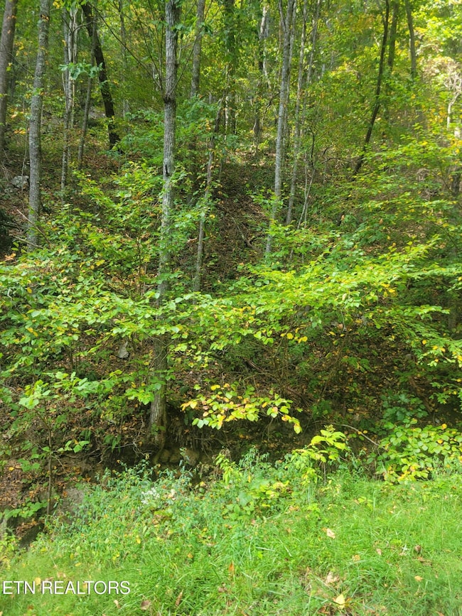 0 Alpine Dr unit 1283013, Sevierville, TN 37876 - photo 4