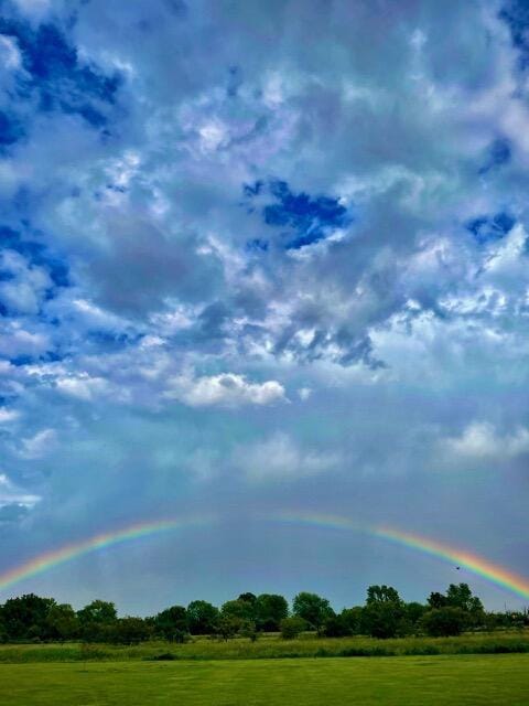 12382 Bulen Pierce Rd, Lockbourne, OH 43137 - photo 7