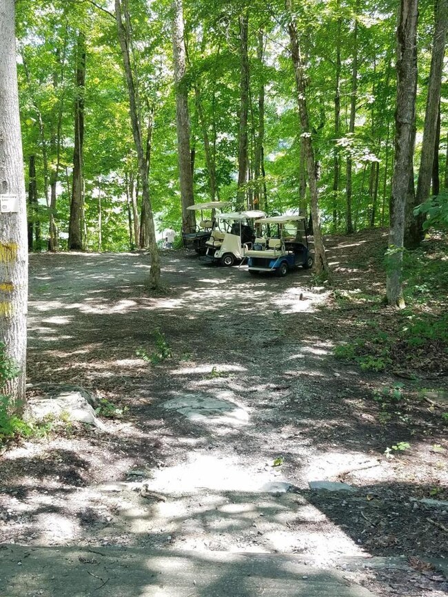 240 Walker Dr, Burnside, KY 42519 - photo 6