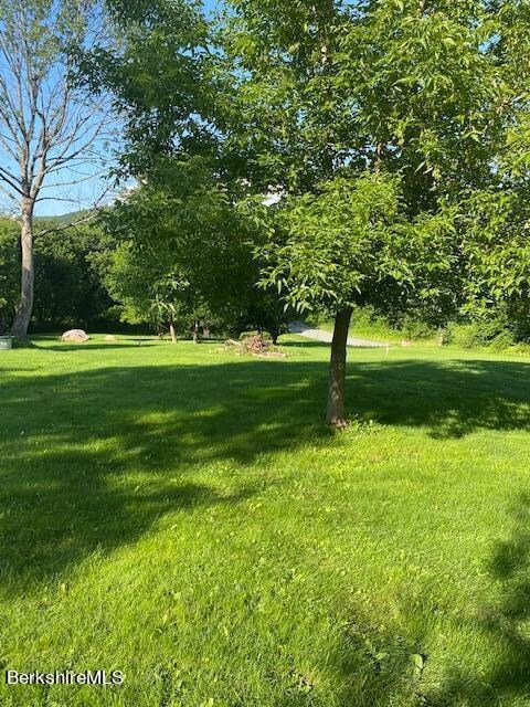 Some Trees on Property Mostly Clear