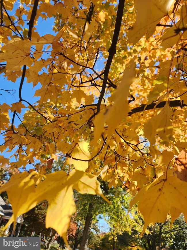 78 53rd Place SE, Washington, DC 20019 - photo 5