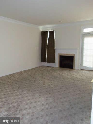 4904 7th St NE, Washington, DC 20017 - photo 6