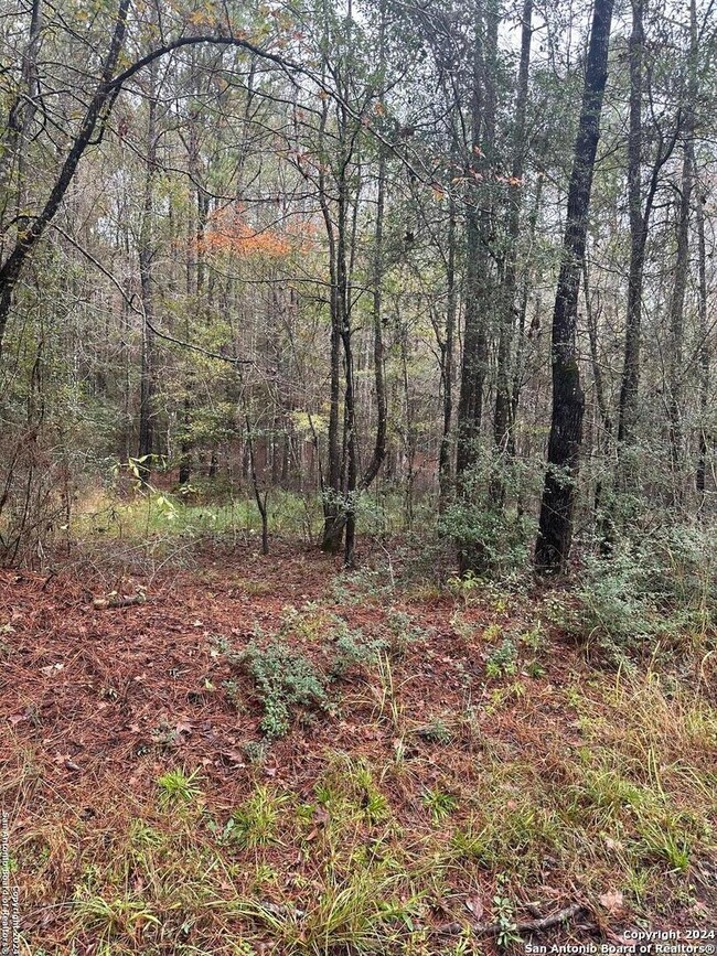 00 County Road 065, Jasper, TX 75951 - photo 6