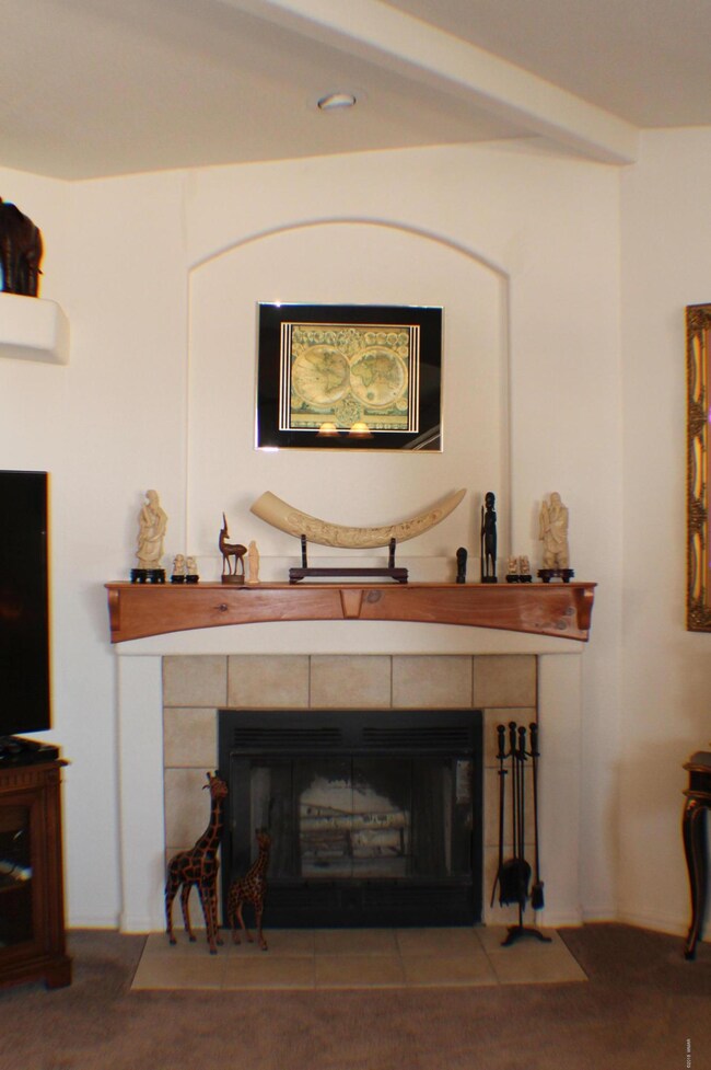 Woodburning Fireplace