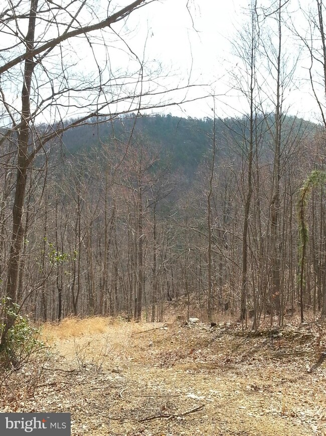 0 Lucas Hollow Rd unit 1002412948, Stanley, VA 22851 - photo 3