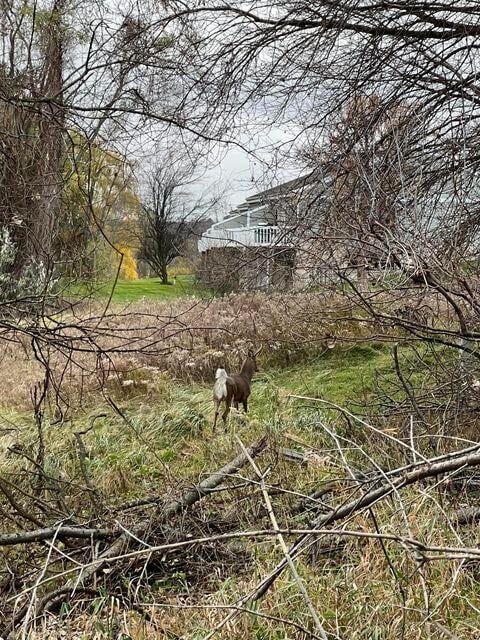 3588 Mona Kai Blvd, Norton Shores, MI 49444 - photo 4