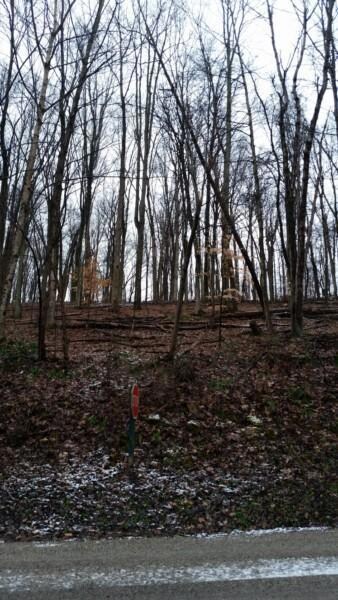 1581 Cardinal Hill Ln, Sugar Grove, OH 43155 - photo 4