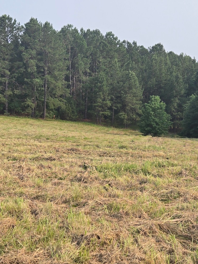 20250531_091721_resized