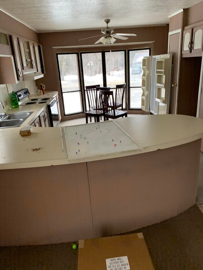 24 Iron Bridge Rd, Millinocket, ME 04462 - photo 2