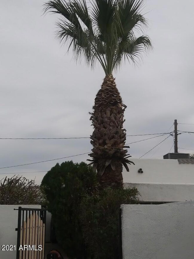 2543 N 11th St, Phoenix, AZ 85006 - photo 7