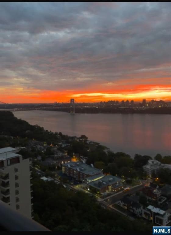 Horizon House unit 2207, Fort Lee, NJ 07024 - photo 3