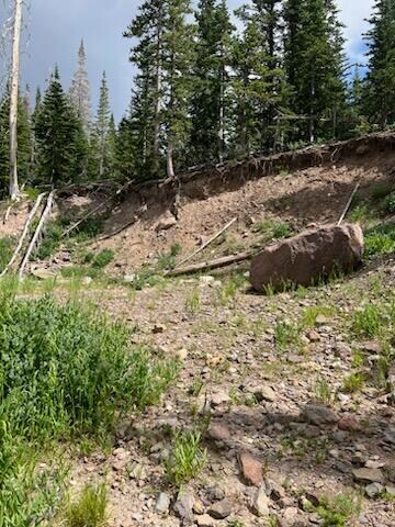 IMG_8517(1)