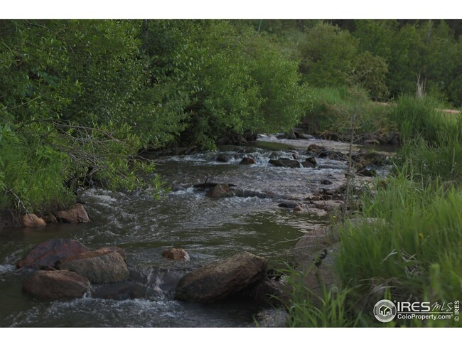 155 Elkhorn House Rd, Livermore, CO 80536 - photo 5