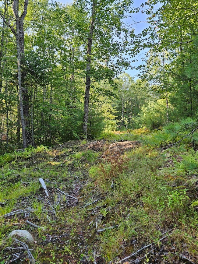 Lot A. Serenity Ln, Oxford, ME 04270 - photo 4