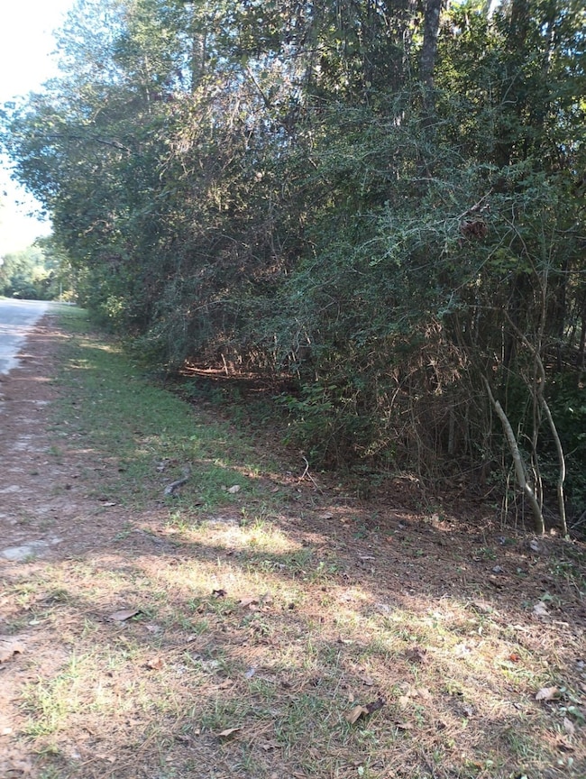 0 Wickford and Little John unit 86445316, Ivanhoe, TX 75447 - photo 4