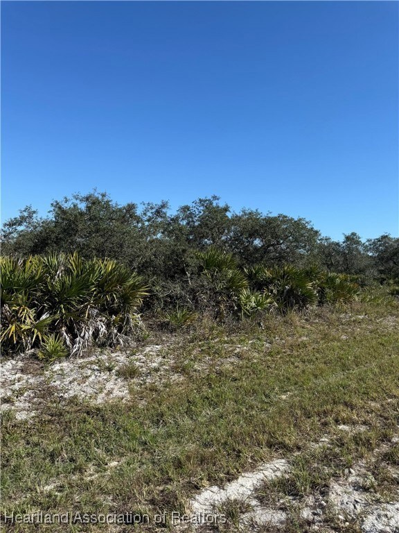 2272 SW Anderson Rd, Avon Park, FL 33825 - photo 4