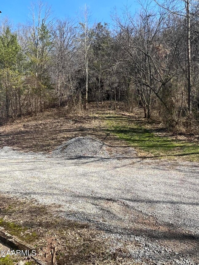Parking area behind home