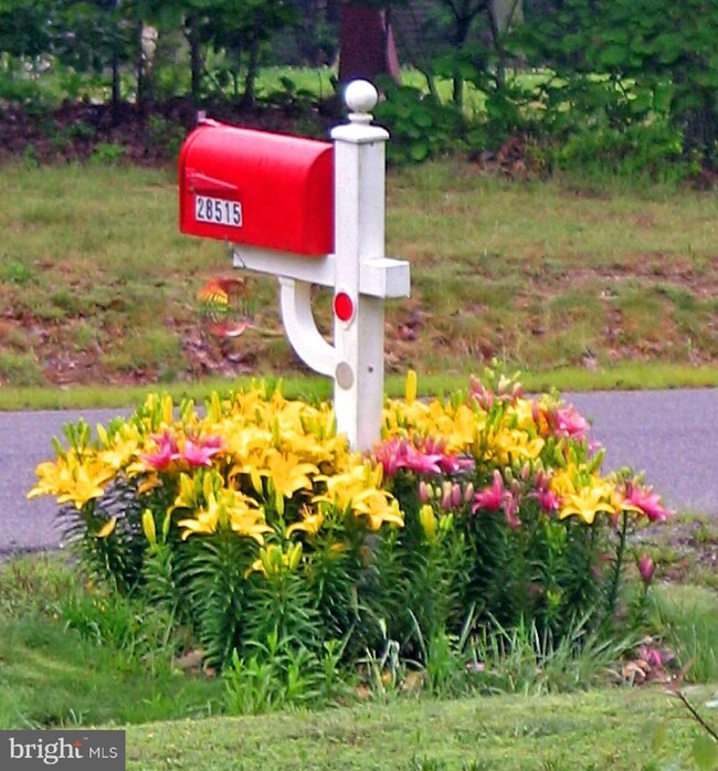 28515 Laurel Canyon Blvd, Rhoadesville, VA 22542 - photo 5