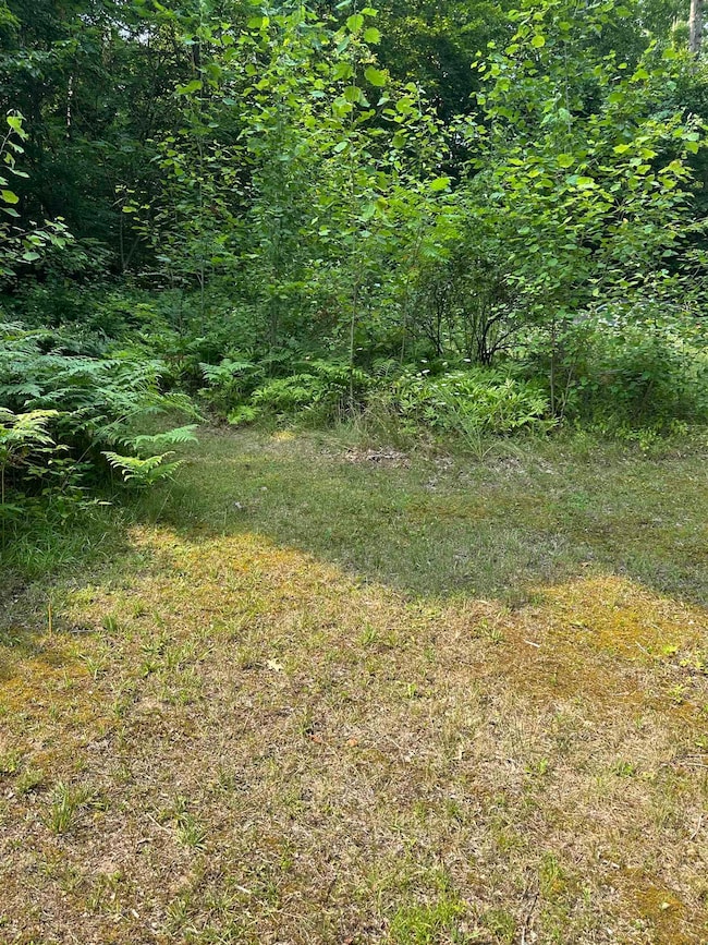 51 Crane View Dr, Salisbury, VT 05769 - photo 5