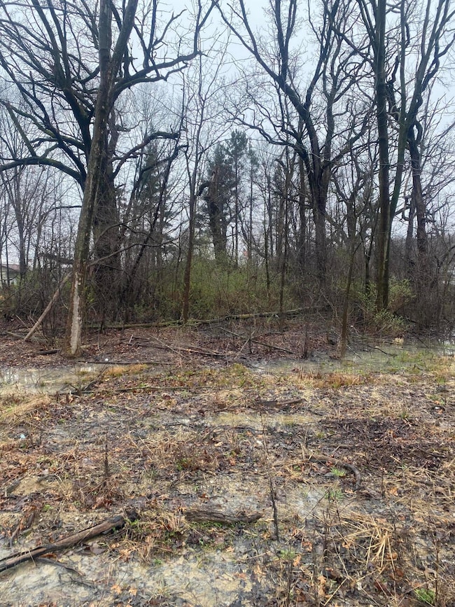 11252 Atherton St, Cedar Lake, IN 46303 - photo 3