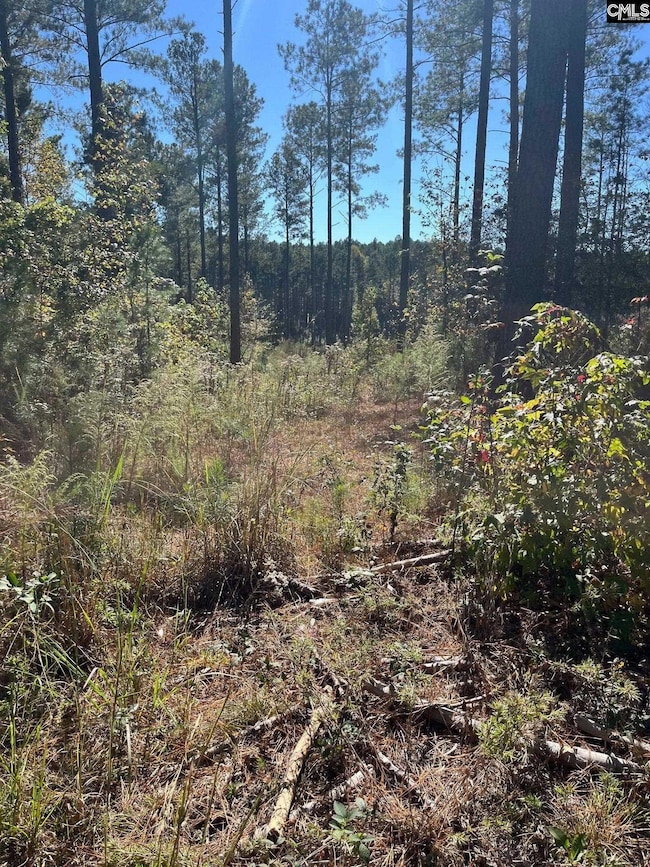 DRF 2 Dawkins Rd unit DRF 2, Pacolet, SC 29372 - photo 7