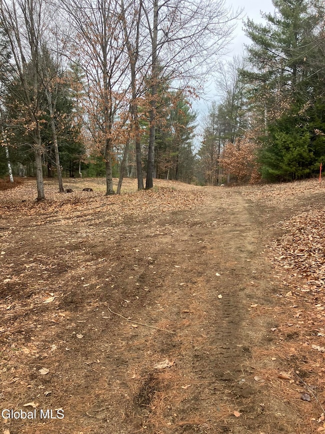 0 Scofield Rd unit 202530120, Lake Luzerne, NY 12846 - photo 2