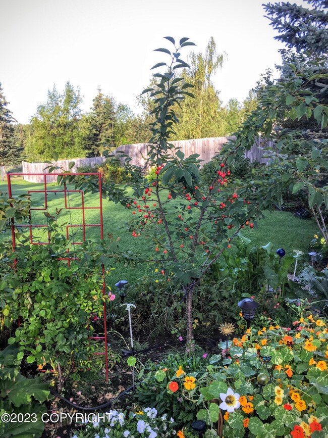 Lawn & Garden at 8200 Wisteria 2