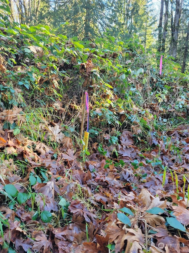 5376 Reese Hill Rd, Sumas, WA 98295 - photo 7