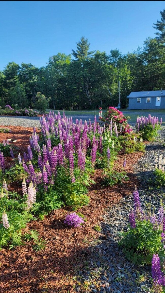 25 Old Bingham Rd, Solon, ME 04979 - photo 6