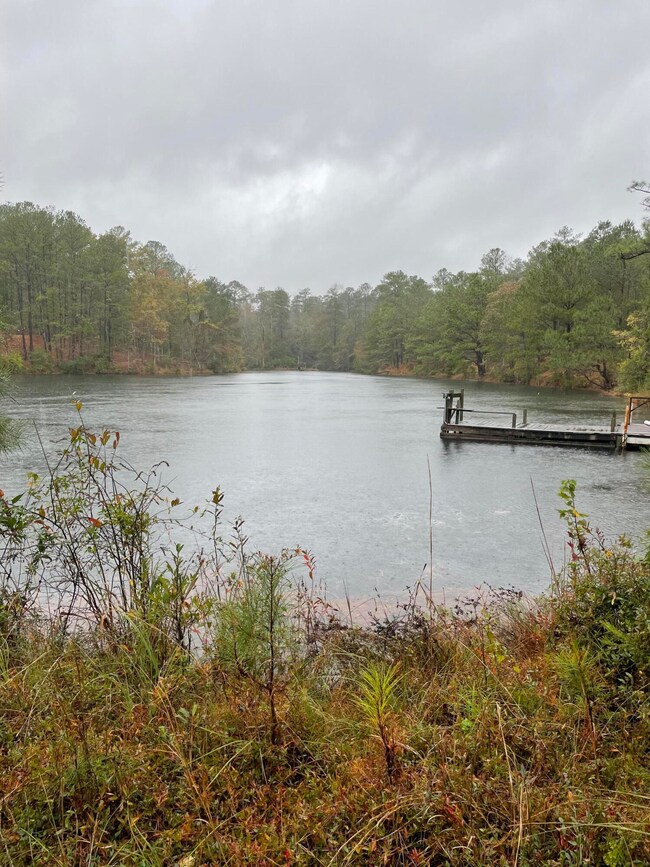 pond view from dam