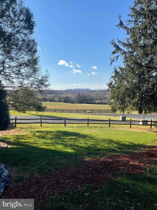 20131 Williams Dr, Culpeper, VA 22701 - photo 6