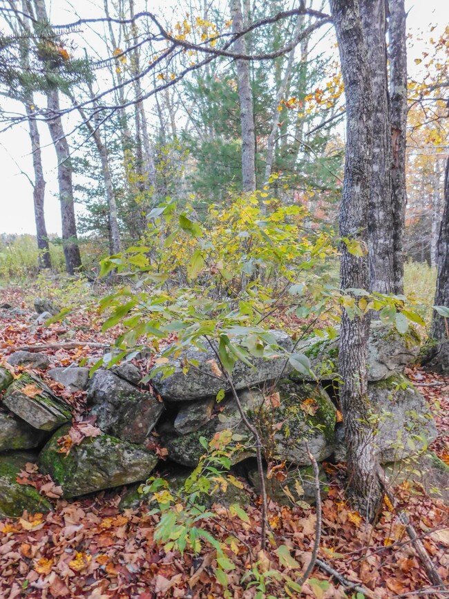 Rock wall