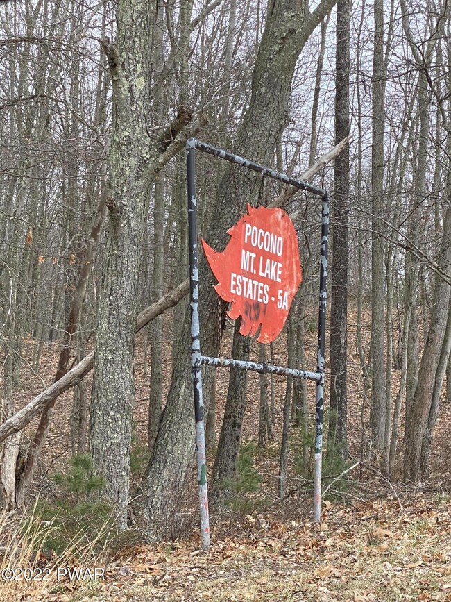 Lot 113 Tom Quick Rd, Dingmans Ferry, PA 18328 - photo 4