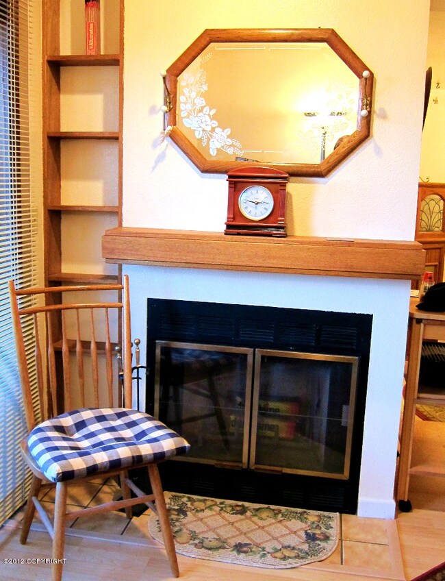 Fireplace