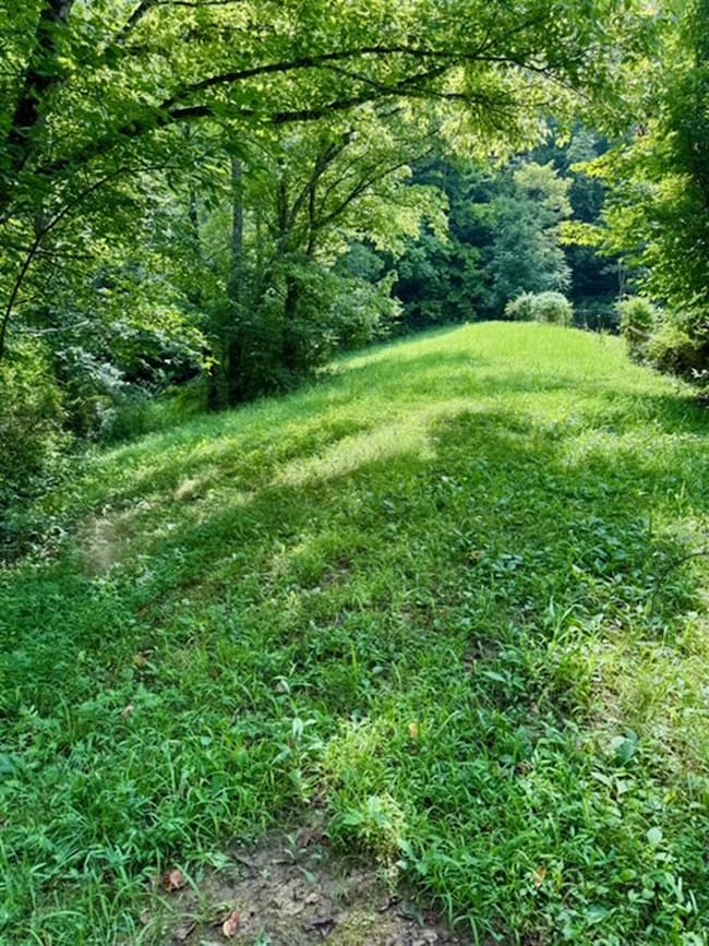 0 Chapel Hollow, Argillite, KY 41144 - photo 3