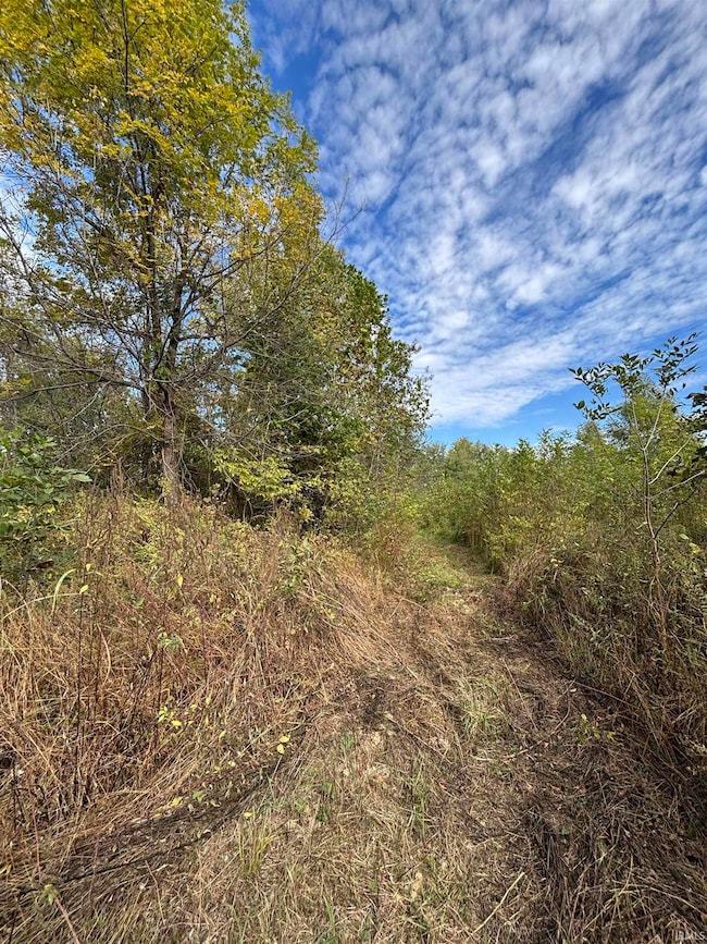 00 E 200 Rd, Sullivan, IN 47882 - photo 3