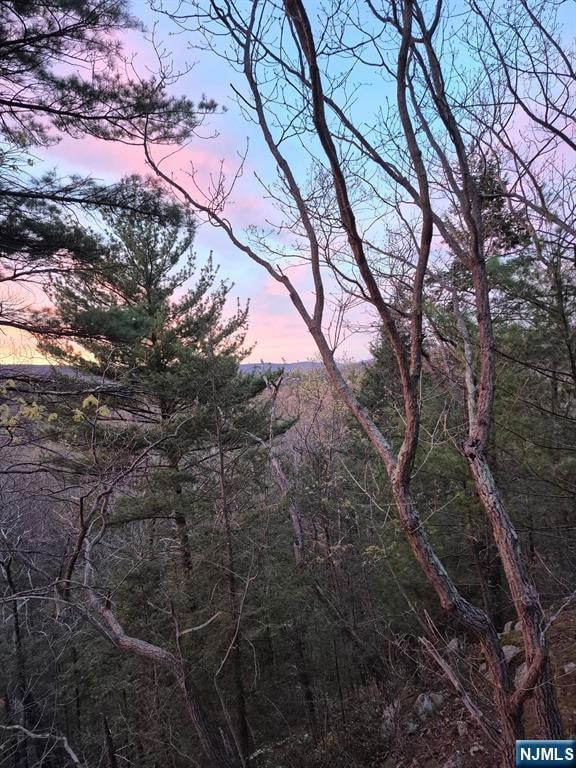 0 Rock Ledge Rd unit 25030488, West Milford Twp., NJ 07480 - photo 2