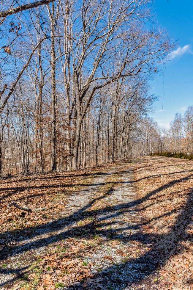 2738 W Gallaher Ferry Rd, Knoxville, TN 37932 - photo 2