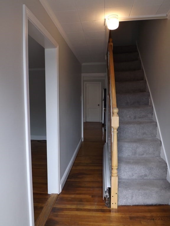 168 E St unit SF, Boston, MA 02127 - photo 6